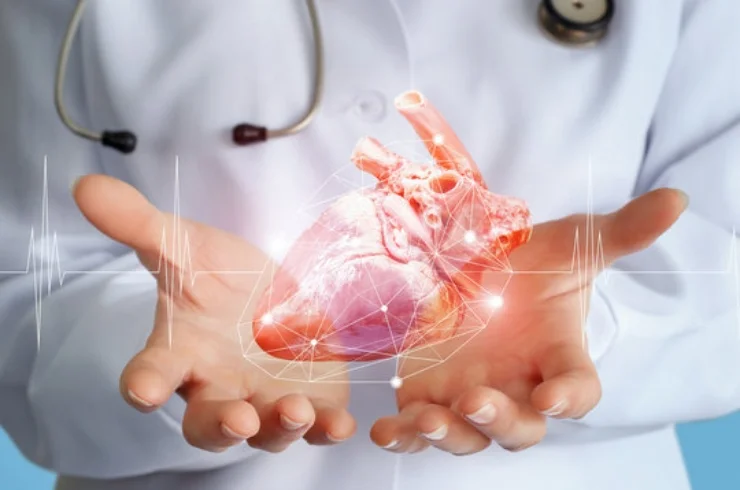 Cardiology-----0